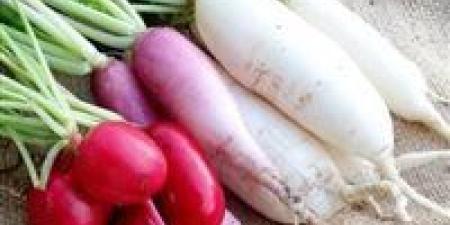الفجل.. هل يمكن أن يكون علاجًا طبيعيًا لأمراض مزمنة؟ - بلس 48
