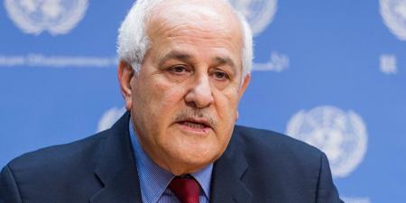 مندوب فلسطين بالأمم المتحدة يشيد بجهود مصر للتوصل إلى وقف إطلاق النار في غزة - بلس 48