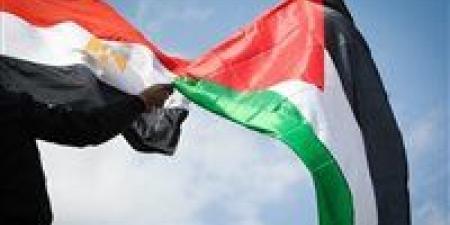 حزب المؤتمر لـ تحيا مصر: دعوات التجمهر أمام السفارات المصرية بالخارج خطر على الأمن القومي ومغلفة بشعارات زائفة - بلس 48