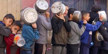 ارتفاع عدد ضحايا التجويع في قطاع غزة إلى 122 شهيدا - بلس 48