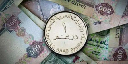 سعر الدرهم الإماراتي في مصر اليوم.. الأحد 27 يوليو 2025 - بلس 48