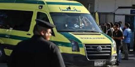 مصرع طفل صدمه جرار زراعي في قرية قصر الباسل بالفيوم - بلس 48