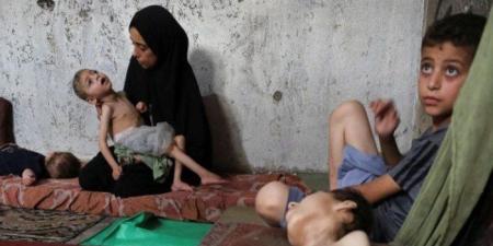 ارتفاع حصيلة ضحايا التجويع في غزة إلى 133 شهيدا - بلس 48