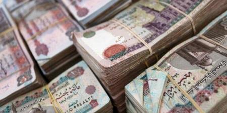 «المركزي المصري» يبيع أذون خزانة بقيمة 57.97 مليار جنيه «اليوم» - بلس 48