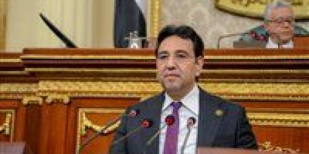 وكيل «عربية النواب»: مصر تقود تحولا دوليا في الاعتراف بالدولة الفلسطينية.. وعلاقاتها بفرنسا نموذج للشراكة الفاعلة من أجل السلام - بلس 48