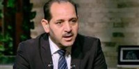 أسامة شعث: مصر قادرة على فرض شروط على الاحتلال لوقف إطلاق النار - بلس 48