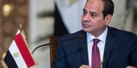 الرئيس السيسي: موقف مصر من غزة منذ 7 أكتوبر كان ثابتًا ومشرفًا - بلس 48