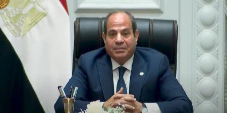 الرئيس السيسي: رفضنا تهجير الشعب الفلسطيني لأنه يفرغ فكرة حل الدولتين - بلس 48