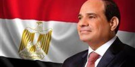 تحالف الأحزاب المصرية لـ«تحيا مصر»: كلمة الرئيس السيسي عن غزة تجسد الثوابت الوطنية ودور مصر التاريخي في دعم فلسطين - بلس 48