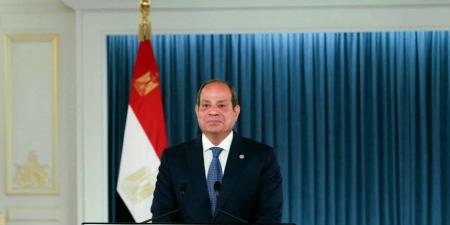 المصريون صفٌ وطني واحد في معركة الحق.. ويرفعون شعار: "لا تهجير ولا تفريط ولا مساومة" في وجه الإخوان الإرهابية - بلس 48