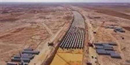 مشروع الدلتا الجديدة...مستقبل الزراعة والتنمية في مصر - بلس 48