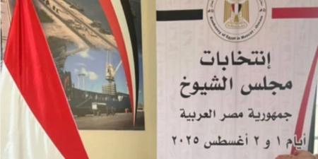 الخارجية: لم ترد أية شكاوى أو خروقات فى تصويت المصريين بالخارج فى انتخابات الشيوخ - بلس 48