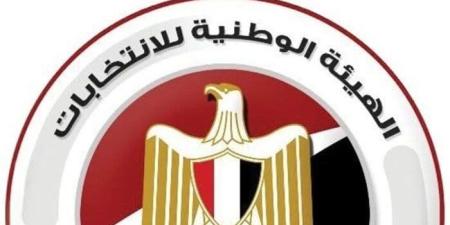 بدء تصويت المصريين بماليزيا وسنغافورة والصين فى انتخابات مجلس الشيوخ - بلس 48