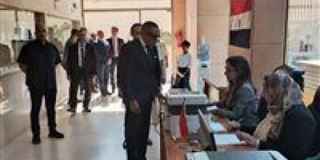 سفير مصر في بيروت: العملية الانتخابية تسير بسلاسة ولدينا تنسيق كامل مع السلطات لتأمين اللجنة - بلس 48
