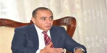 سفير مصر بـ كينيا: مشاركة أبناء الجالية في انتخابات الشيوخ تعكس روح المسؤولية - بلس 48