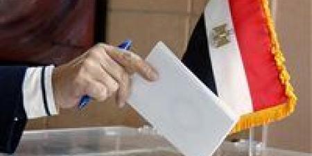 انطلاق تصويت المصريين بالخارج في انتخابات مجلس الشيوخ 2025 وفتح اللجان في نيوزيلندا - بلس 48