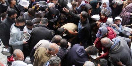 وكالات أممية تحذر قطاع غزة على شفا المجاعة وتطالب بتحرك عالمي فوري - بلس 48
