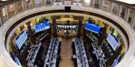 بقيمة 19,9 مليار جنيه..  قطاع الخدمات المالية غير المصرفية يتصدر قائمة قطاعات الأسهم المقيدة بالبورصة - بلس 48