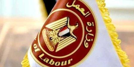 وزارة العمل المصرية: فرص عمل في السعودية برواتب تصل إلى 103 آلاف جنيه شهريًا - بلس 48