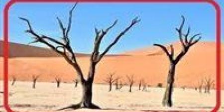 التصحر في الوطن العربي |الكارثة الصامتة - بلس 48
