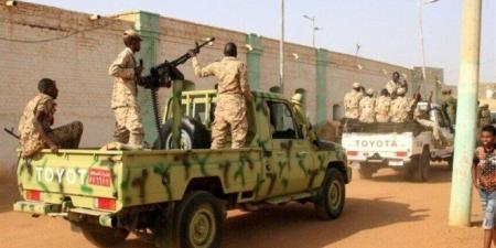 القوة المشتركة في السودان: مرتزقة أجانب شاركوا في هجوم الفاشر ودعوة للمساءلة الدولية - بلس 48