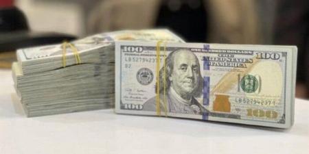 سعر الدولار مقابل الجنيه ببداية تعاملات اليوم الثلاثاء 5 أغسطس 2025 - بلس 48