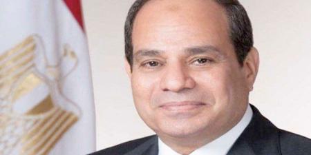 الرئيس السيسي: مصر تقوم بدور كبير لإيقاف الحرب وإدخال المساعدات لقطاع غزة - بلس 48
