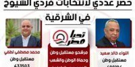 7 مرشحين يتجاوزون 50%+1 في انتخابات الشيوخ بالشرقية.. مستقبل وطن يتصدر المشهد ومعه حماة الوطن والشعب الجمهوري - بلس 48
