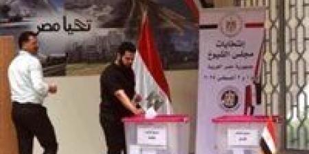 مرشح "مستقبل وطن" يتصدر النتائج في بورسعيد.. الحصر العددي يكشف تقدم القائمة الوطنية - بلس 48