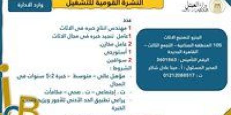 3633 فُرصة عمل جديدة نتظر الشباب فى 10محافظات.. التفاصيل الكاملة - بلس 48
