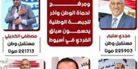 3 من "مستقبل وطن" و2 من "حماة الوطن" و"الجبهة الوطنية".. هؤلاء حسموا مقاعد الفردي في أسيوط بانتخابات الشيوخ - بلس 48