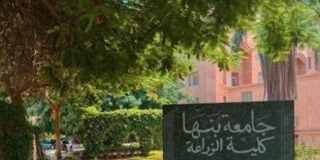 لمواكبة متطلبات سوق العمل.. 6 برامج دراسية متميزة باللغة الإنجليزية بزراعة بنها - بلس 48