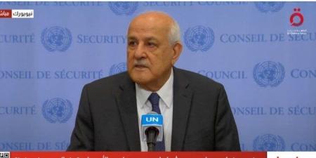 مندوب فلسطين بالأمم المتحدة: مشاورات مكثفة مع مجلس الأمن لوقف الحرب في غزة - بلس 48