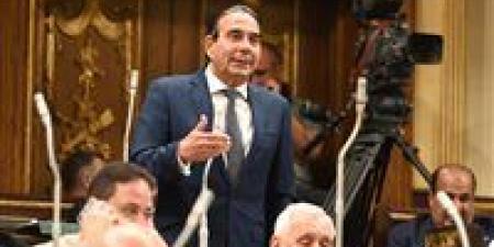 وكيل حقوق النواب يطالب بخطة إعلامية متكاملة استعدادًا لافتتاح المتحف المصري الكبير - بلس 48