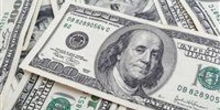 سعر الدولار مقابل الجنيه المصري اليوم الأحد 10 أغسطس - بلس 48