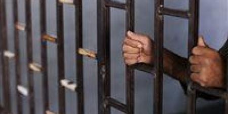 الداخلية: ضبط صاحب فيديو ادعى بيع كليته لصانع محتوى لزيادة المشاهدات - بلس 48