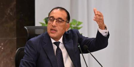رئيسا وزراء مصر والأردن يرأسان غدا اللجنة العليا المصرية الأردنية المشتركة - بلس 48