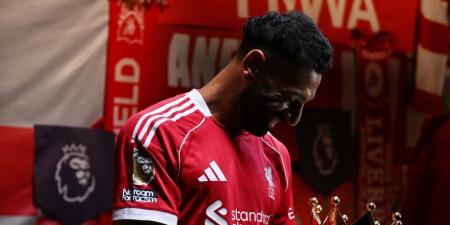 محمد صلاح يتصدر قائمة أجمل أهداف ليفربول فى افتتاح الدورى الإنجليزى - بلس 48