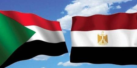 «مبادرة الدبلوماسية الشعبية» تثمّن الجهود المصرية السودانية لإعادة الاستقرار في السودان - بلس 48