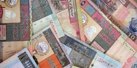 الدينار الكويتى يسجل 157.8 جنيه فى البنك الاهلى منتصف تعاملات اليوم 11 أغسطس 2025 - بلس 48