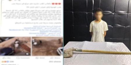 القبض على المتهم بالاعتداء بالضرب على كلب بـ «كوريك» داخل جراج بالقاهرة - بلس 48