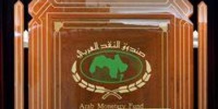 صندوق النقد العربي يرسم سيناريو متفائل لاقتصاد مصر 2026 - بلس 48