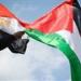 حزب المؤتمر لـ تحيا مصر: دعوات التجمهر أمام السفارات المصرية بالخارج خطر على الأمن القومي ومغلفة بشعارات زائفة - بلس 48