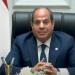 الرئيس السيسي: رفضنا تهجير الشعب الفلسطيني لأنه يفرغ فكرة حل الدولتين - بلس 48