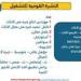 3633 فُرصة عمل جديدة نتظر الشباب فى 10محافظات.. التفاصيل الكاملة - بلس 48