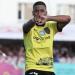 موعد ظهور البرازيلي ألفينا في تدريبات الزمالك - بلس 48