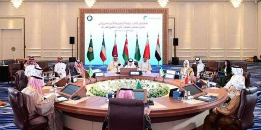 اللجنة التنفيذية تناقش إطار التعاون الدولي لدول الخليج في مجال الأمن السيبراني - بلس 48