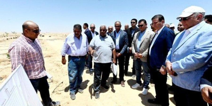 وزيرا الزراعة والإسكان يتفقدان محطة التجارب البحثية لتحلية مياه البحر بالعلمين - بلس 48