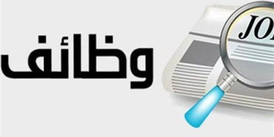 وظائف وزارة العمل 2025.. استمرار التقديم في محطة الضبعة - بلس 48