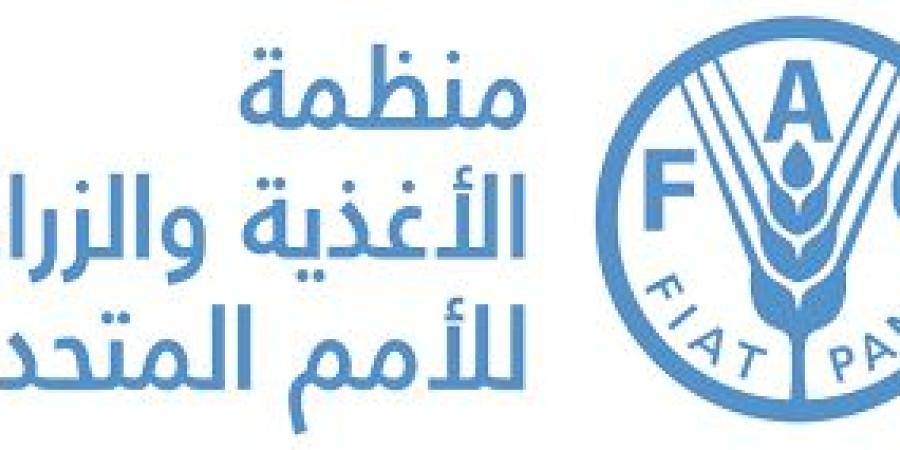 فوز المرشح المصري بمنصب رئيس مجلس «الفاو» لأول مرة في تاريخ المنظمة منذ إنشائها - بلس 48
